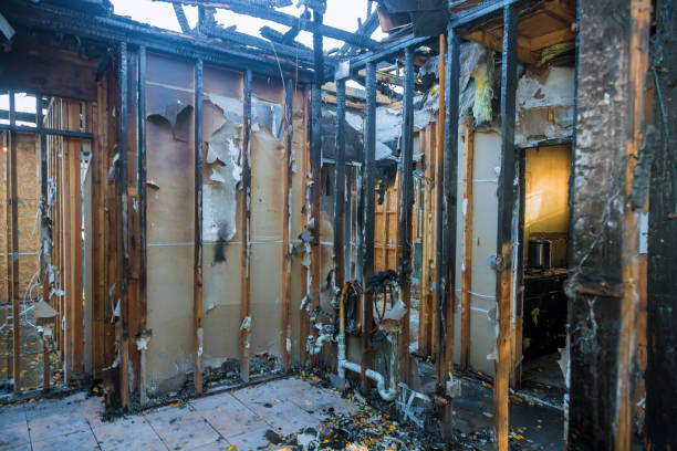 Professional Fire Damage Repair technician working in Parkville, MD